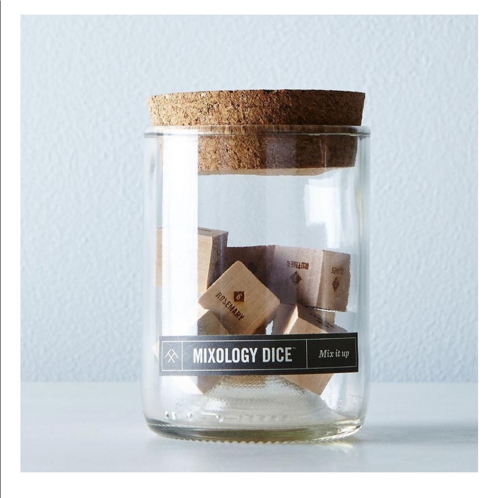 NWT! Anthropologie Mixology Dice Tumbler